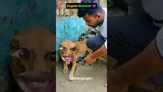 dogesh Badmash 😈 #comedy #comedyfilms #funny #comedyforever