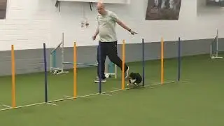 Training Agility Hagener Fun-Jumper OWL Cup.2024