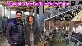 Saba Ibrahim Husband Sunny Ne Maudaha Me Khola Buffalo Dairy Farm🤗 Dipika Ki Duniya Shoaib Ibrahim