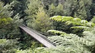 A Walk through Tarra-Bulga National Park (Mix of Stills and Videos; no commentary)
