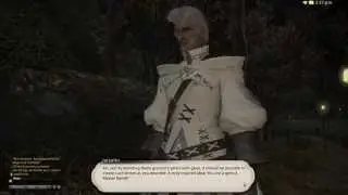 「Final Fantasy XIV」A Realm Reborn: Soulglazed Relics (PS4)