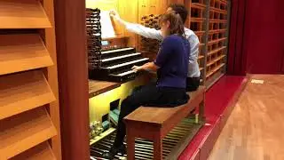 Reger: Symphonische Fantasia D-Moll (from Symphonische Fantasia und Fuge D-Moll, Op. 57)