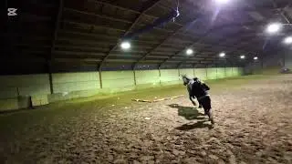Concours Equifeel CavalGo 2026 longues-r&ecirc;nes 