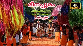 മീനപ്പൂര മഹോത്സവം Puthuchirakavu Devi Temple, Purapuzha 2024 #pooram #shinkarimelam #viral #temple