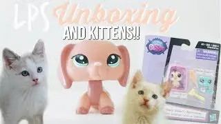 IM BACK! New Kittens & Littlest Pet Shop LPS Unboxing ☺