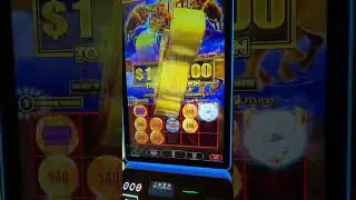 Max Bet Bonus on Bull Blitz! #slots #casino #jackpot