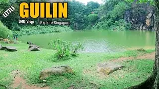 Little Guilin | Bukit Batok Nature Park | Explore Singapore