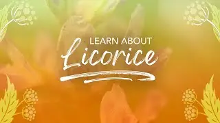 Learn about Licorice | Pukka Herbs