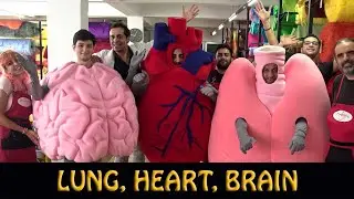Heart, Lung and Brain Mascot Costumes