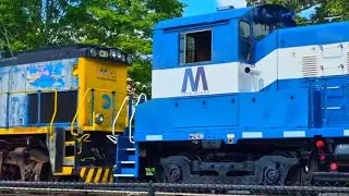 LIRR SW1001 #101 Trails third on its return trip from the Riverhead Rail Festival with a nice crew