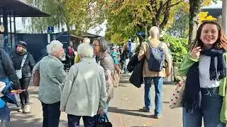 Switzerland sokakları ve doğası 🌳