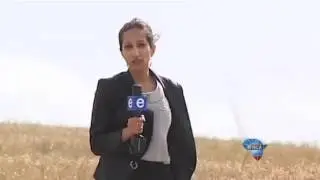 Dassiesklip Wind Energy Facility opening ceremony