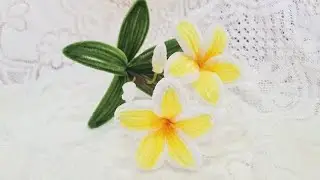 🌸DIY Làm một nhành Hoa sứ từ kẽm nhung / How to make Frangipani from pipe cleaners
