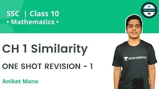 CH 1 Similarity  | ONE SHOT REVISION - 1 | MH Board | Aniket Mane