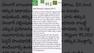 Atal Pension Yojana (APY) #apy #pension #government #scheme #yt #shorts #viral