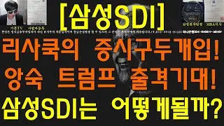 [주식투자]삼성SDI(리사쿡의 증시구두개입!앙숙 트럼프 출격기대!삼성SDI는 어떻게될까?)