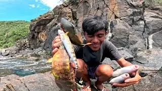Ang Daming Isda Dito ! Di na Kaylangan Ihagis Ang Pain