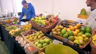 Holistic Health and Plant-based Nutrition with Dominica Alicia Roszko at Raw Fest UK
