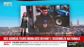 Pauline Pioche - 08/01/2026