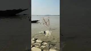 Amazing cast net Duck sundarbons river #amazing #reels #viral #fishing
