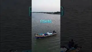 #Day out around Chennai #Pulicat lake #பழவேற்காடு #Fishing #Boating #Rare sea creatures