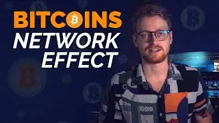 Analyzing Bitcoin&rsquo;s (unstoppable) Network Effect - Article by Lyn Alden