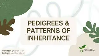 Pedigrees & inheritance patterns | DNA, genes and inheritance | meriSTEM