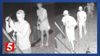 TWRA investigating vandalism at Reelfoot Lake in Lake and Obion counties