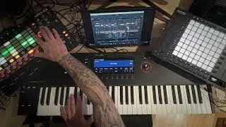 nativeinstruments k61, akai ap64 ,40 mk2,ableton live,arturia ap2600 v3, pure lofi and 808  drum kit