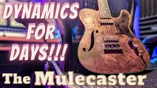 Mulecaster goes from -1 to 11 | Amazing Dynamic Range