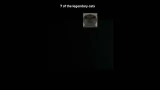 7 of the legendary cats #memes #cats #roblox #edit #zazu cat #elgato #maxwell #sillycat #oiia #cats