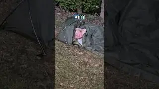 Primele cupluri la camping! #cort #bivvy #sac de bivvy #camping #campingsălbatic #campingpe ascuns #glumă #comedie