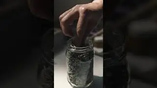 The power of Mugwort