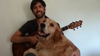 FOR DOLLARO - My special Dog (Godin flat five x)
