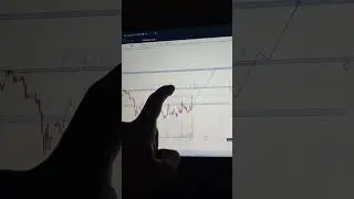 Green Ply INDUSTRY swing trade #swingtrade #fulltimetrader