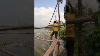 Fishing in Tangon River, North Bengal with Khora Net | Massive Fish Catch #Fishing #TangonRiver