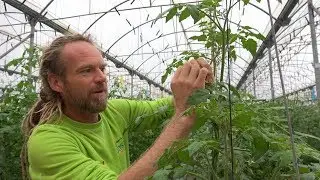 Größter Gemüsegarten Europas! 