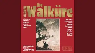 Die Walküre, WWV 86b: 2. Aufzug: 4. Szene: Siegmund! Sieh auf mich!