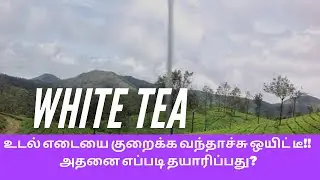 How to make White Tea || Weight loss drink in Tamil || Lockdown la easy ah epdi weight loss panalam