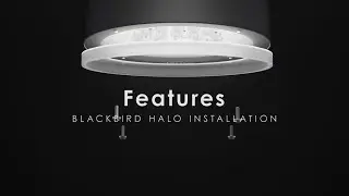 VIZULO FEATURES || Blackbird Halo Installation