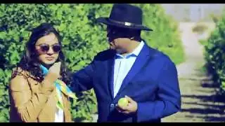 Spanish Lemon Harvesting & Processing, Murcia 2017