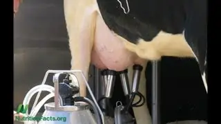Cow's Milk Casomorphin and Autism