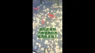 河南南阳武侯祠