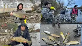 Oswego fishing my first time see a lot brown trout at 2025🎣🐟🐠