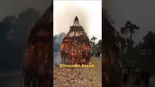 Happy magh Bihu #maghbihu2025 #maghbihu #bhogali_bihu #bihu