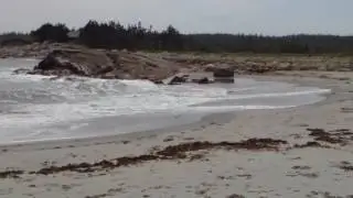 Tor Bay beach is just gorgeous #BeautifulGuysboroughCounty #BeautifulNovaScotia