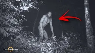 12 Real Horror Videos That Will Keep You Up at Night Part 19 / Ghosts and Creatures Captured in 2026