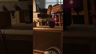 song for marcee
