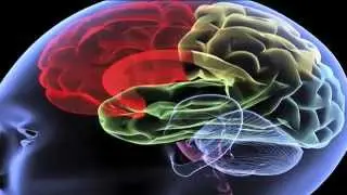 Cycling Top Sport for Head Injury