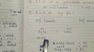 Two point test cross